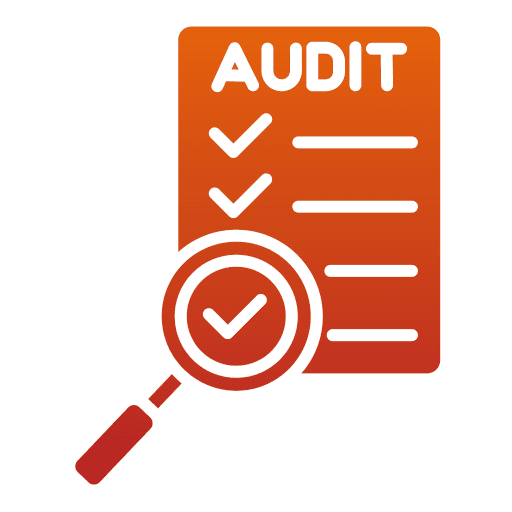 audit